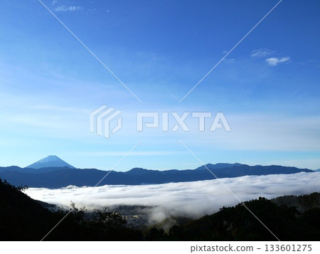 Mt. Fuji floating in the sea of clouds 133601275