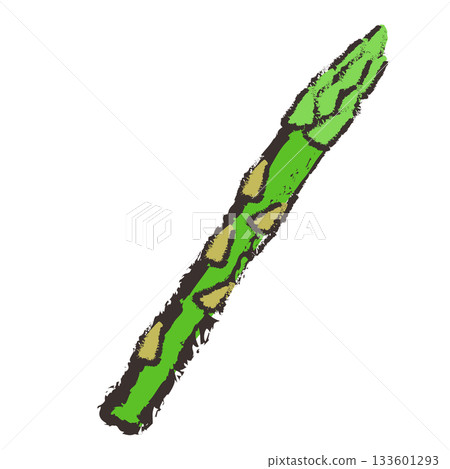Illustration of asparagus 133601293