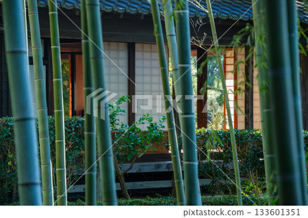 竹林和榻榻米房間 133601351