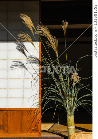 Pampas grass on the porch 133601355