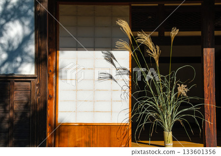 Susukino silhouette 133601356