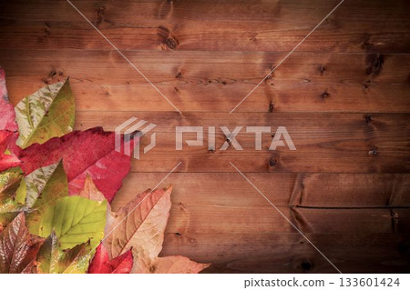 Colorful autumn leaves are resting on flat design warm-toned wood planks with grain, copy space Colorful autumn leaves are resting on flat design warm-toned wood planks with grain, copy space 133601424