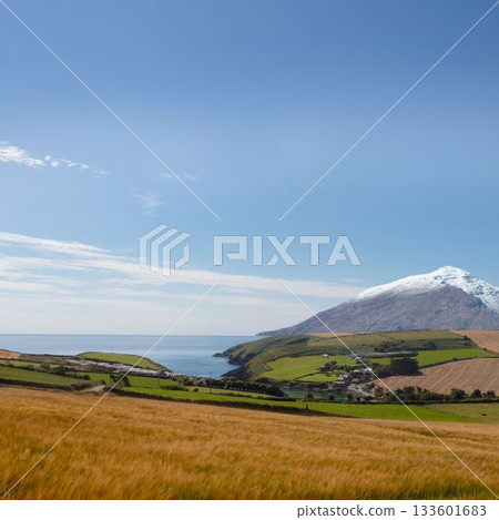 Country scene with mountain Country scene with mountain 133601683