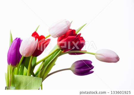 Flat design is showing multicolored tulip bouquet in glass vase on white backdrop, copy space 133601925