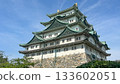 Nagoya Castle, Aichi Prefecture 133602051
