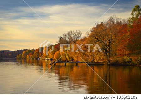 Beautiful colourful autumn leaves. Seasonal natural background. Fall time. 133602102
