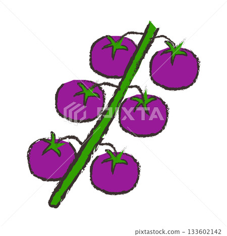 櫻桃番茄插圖（紫色） 133602142