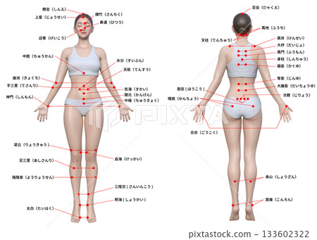 Body pressure points Japanese 3D model female illustration set of full body front and back view Body pressure points Japanese 3D model female illustration set of full body front and back view 133602322
