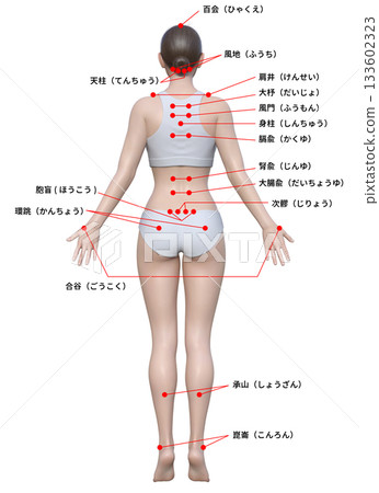 Body pressure points Japanese 3D model female illustration, full body back view Body pressure points Japanese 3D model female illustration, full body back view 133602323