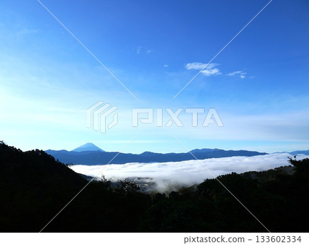 甲府盆地的富士山和雲海 133602334