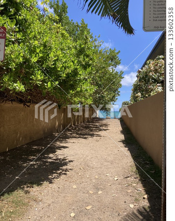 A narrow path to a secret beach 133602358