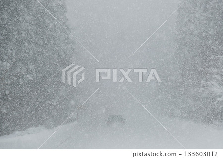 Heavy snowfall and snowy roads with near-zero visibility 133603012