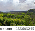 the bright green of the mountain forest contrasting with the gray sky 133603245