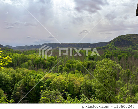 the bright green of the mountain forest contrasting with the gray sky the bright green of the mountain forest contrasting with the gray sky 133603245