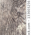 wooden texture of gray aged board 133603256
