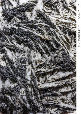 Goethite on gypsum mineral sample, black acicular goethite crystals embedded in white gypsum matrix photographed in detail showing fibrous layered texture 133603296