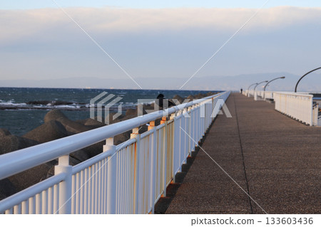 Beautiful scenery along the coast 133603436