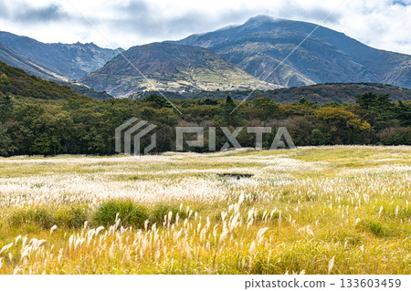秋天景色：銀草高原綿延於長崎原田原濕地之上，遠眺九重山脈。 133603459