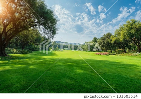 Vibrant green lawn and trees natural landscape in summer 133603514
