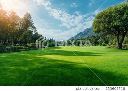 Vibrant green lawn and trees natural landscape in summer 133603516