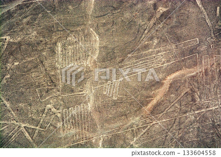 Nazca Lines Pelican Nazca Lines Pelican 133604558