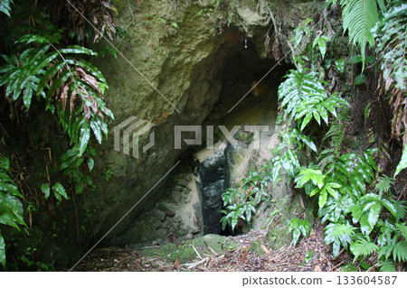 Guam South Pacific War Memorial Park Air Raid Shelter Guam South Pacific War Memorial Park Air Raid Shelter 133604587