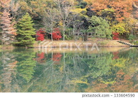Autumn scenery in a park with a walking path 133604590