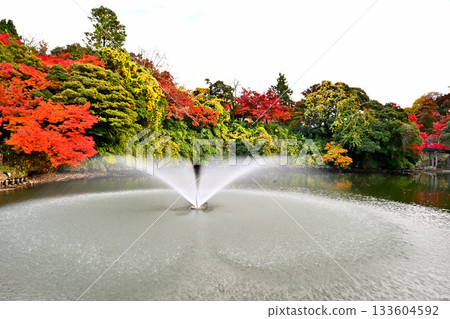 Autumn leaves at Takaoka Castle Park, scenery with a fountain Autumn leaves at Takaoka Castle Park, scenery with a fountain 133604592