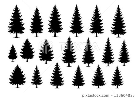 Collection of black silhouette pine trees of various sizes, arranged on a white background. This minimalist set of evergreen trees evokes a forest or winter theme. 133604853