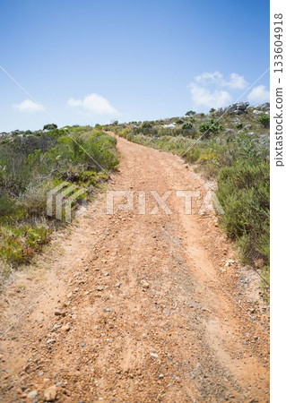 Winding dirt path is curving up scrubby hillside with gravel in flat design vector illustration 133604918