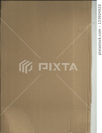 Corrugated cardboard sheet is lying on flat white backing in flat design, showing folds and tear 133604928