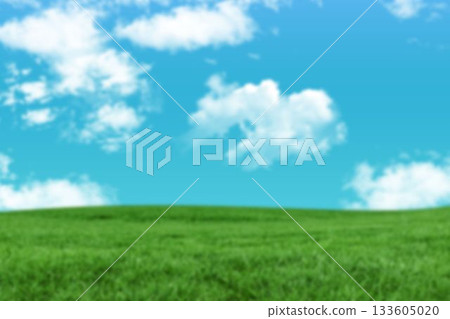 Idyllic view of green grassy land Idyllic view of green grassy land 133605020