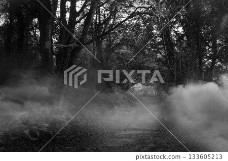 Way between trees and smoke Way between trees and smoke 133605213
