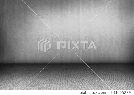 Bare grey carpeted room is being shown in flat design, featuring subtle gradient textured wall Bare grey carpeted room is being shown in flat design, featuring subtle gradient textured wall 133605229