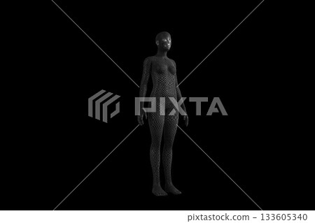Digitally generated image of 3d woman Digitally generated image of 3d woman 133605340