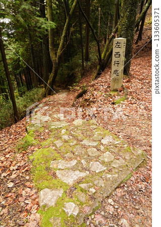 Fallen leaves scattered along the path to Okusenbon Saigyoan 133605371
