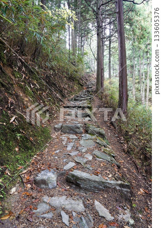 通往奧千本西行庵的小路上散落著落葉。 133605376