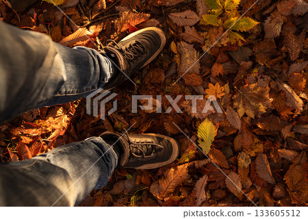 Walking through a beautiful autumn forest 133605512