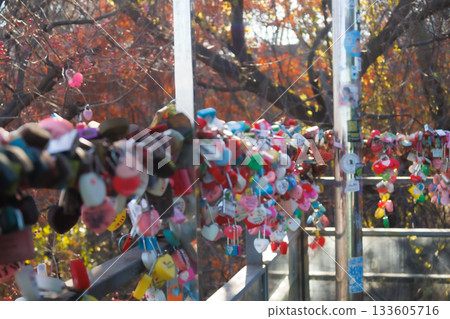Lovers' vows crammed into the walkways of Namsan Park 133605716