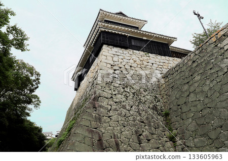愛媛縣松山城 133605963