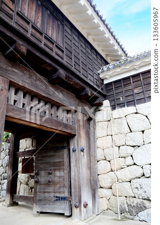 愛媛縣松山城 愛媛縣松山城 133605967