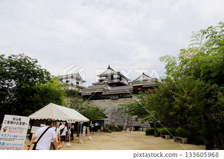 愛媛縣松山城 愛媛縣松山城 133605968