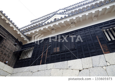 愛媛縣松山城 133605973