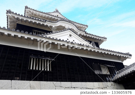 愛媛縣松山城 133605976