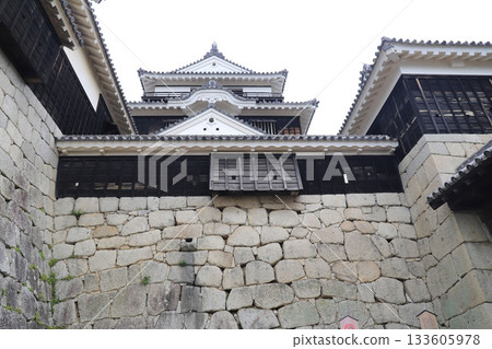 愛媛縣松山城 愛媛縣松山城 133605978