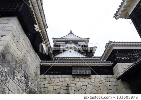 愛媛縣松山城 133605979