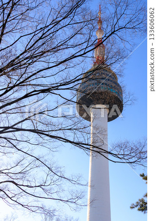 Beautiful Seoul Tower seen from the top of Namsan Park 133606062