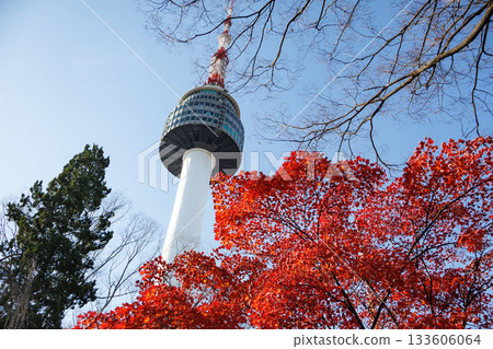 Beautiful Seoul Tower seen from the top of Namsan Park 133606064