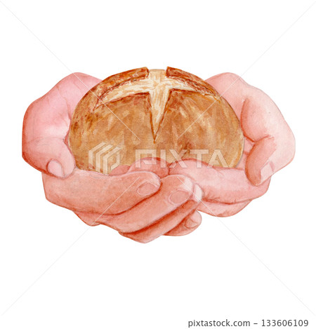 Hands gently holding a round sourdough bread. Hand-painted watercolor isolated on white. Premium clip art isolated on white, perfect for bakery branding, packaging, recipes, and artisan food projects 133606109