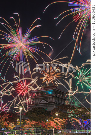 琵琶湖秋季煙火秀 琵琶湖文化中心 133606433